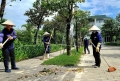 Ecogarden sạch – xanh tươi sau ngày mưa lũ.